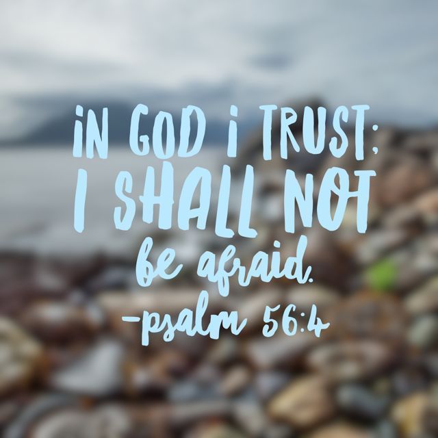 "When I am afraid, I put my trust in you." I love that this verse explains "I put." Because that indicates it is a choice. I choose FAITH over FEAR. It is a choice I deliberately and intentionally make. Not something that just happens. Amen? Fear Bible Verses, In God I Trust, Faith > Fear, Quotes Faith, Thy Will Be Done, Soli Deo Gloria, Ayat Alkitab, Bible Reading, Faith Prayer