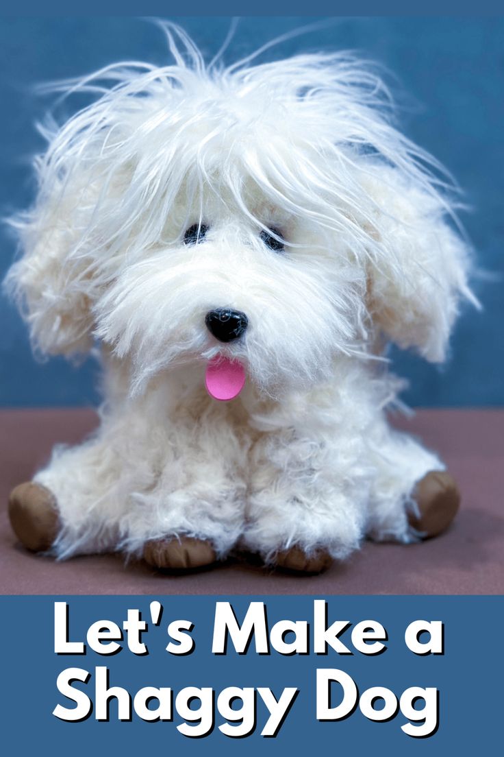 a small white dog sitting on top of a wooden floor next to a blue wall