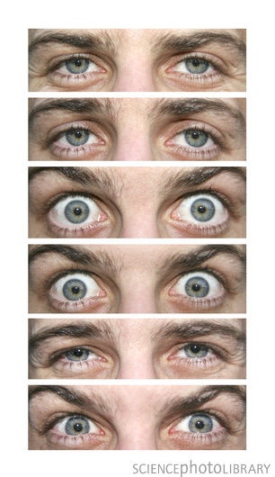 four different pictures of the same person's eyes