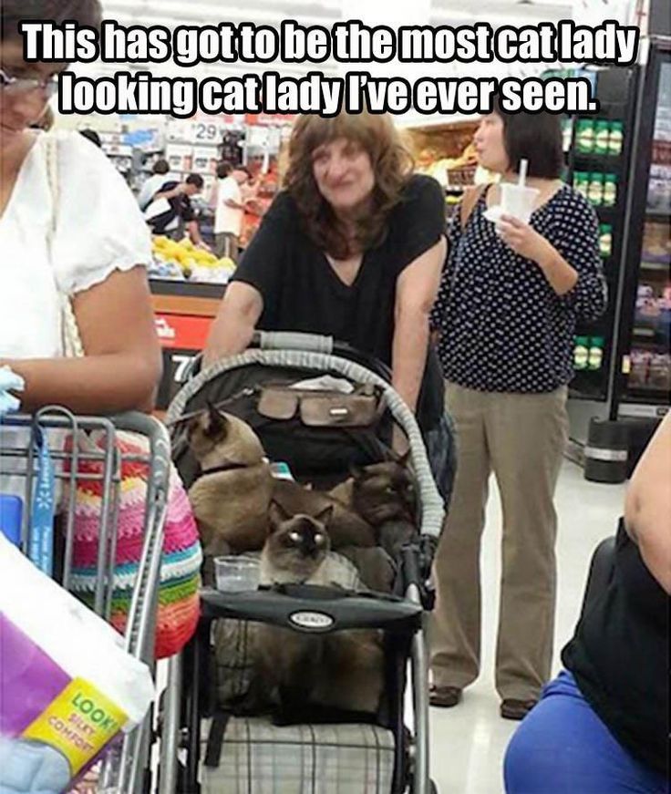 a woman pushing a stroller with a cat in it at the grocery store while two other women look on