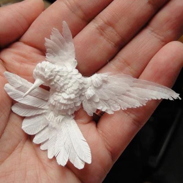 a small white bird sitting on the palm of someone's hand