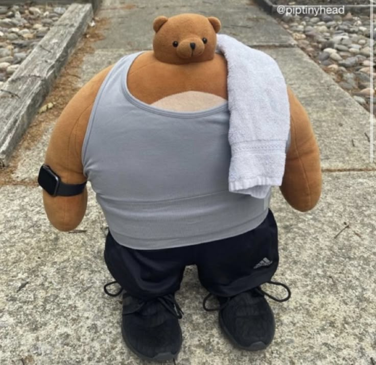 a teddy bear with a towel on its back