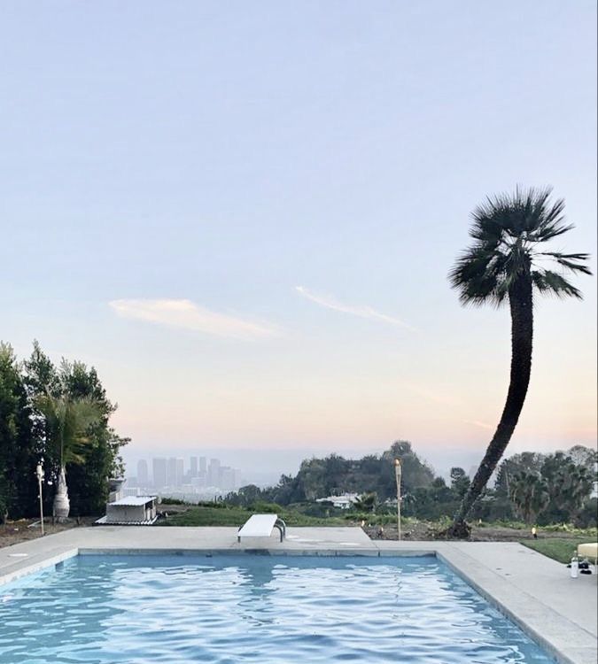 an empty swimming pool with a palm tree in the foreground and a cityscape in the background