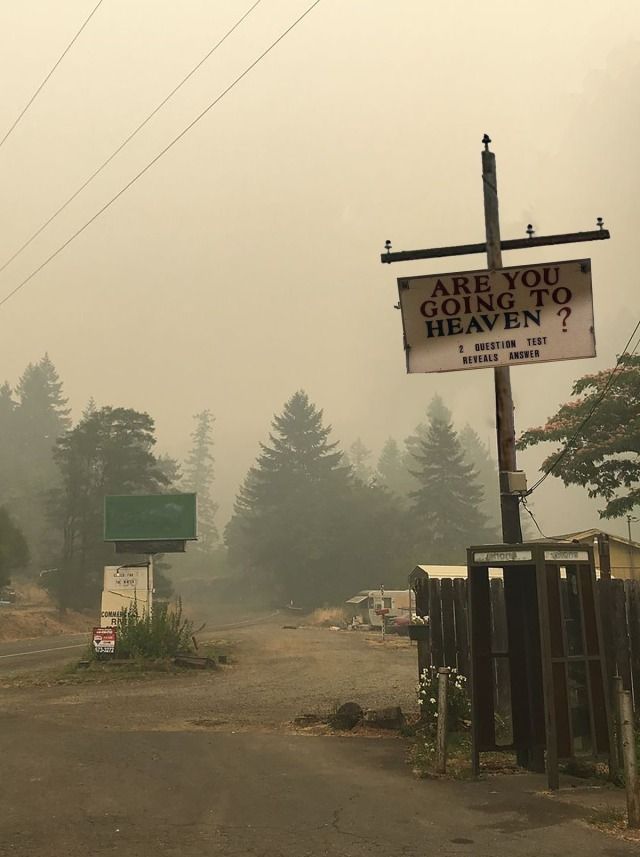 a street sign on a foggy day with trees in the background