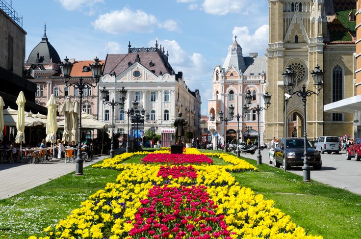 a flower bed in the middle of a city street