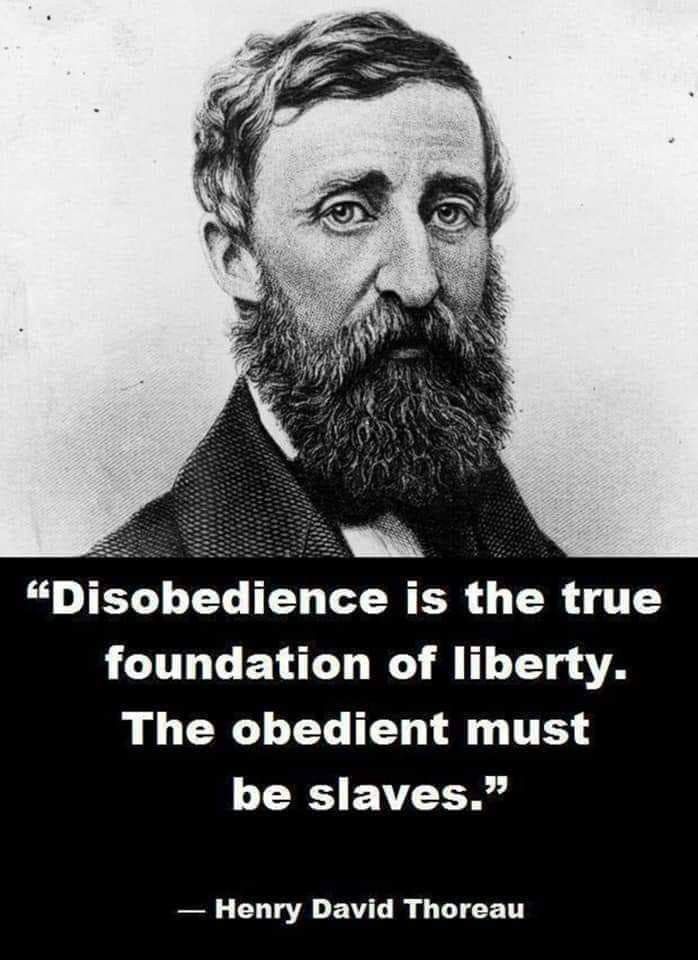 a quote from henry david thor about disobedience is the true foundation of liberty