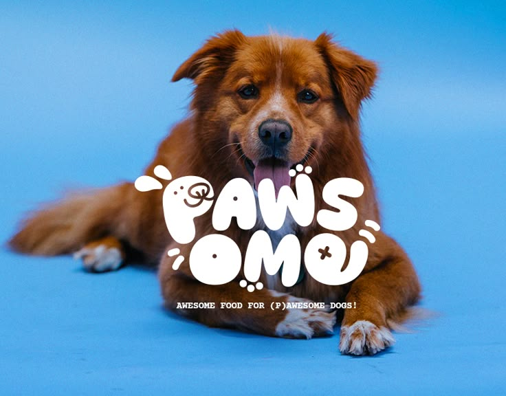 a brown dog laying on top of a blue floor next to a sign that says paws omo