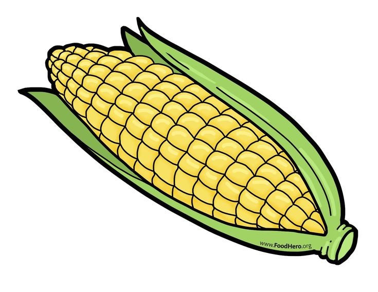 corn on the cob clipart