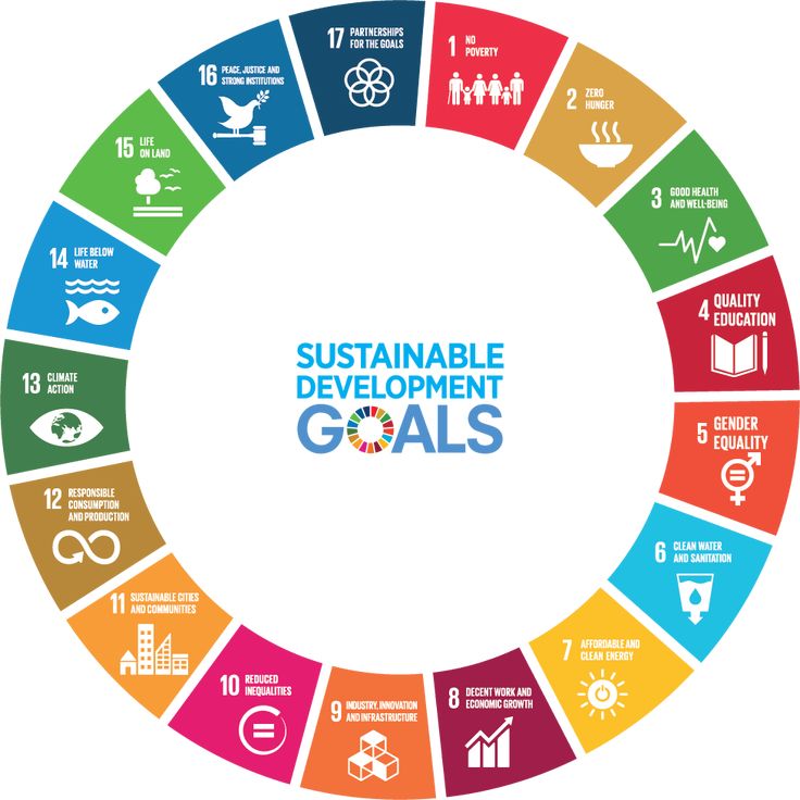 a circle with the words sustainable goals written in different colors and symbols around it, all on top of each other