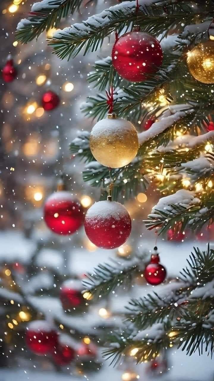 christmas tree with red and gold ornaments hanging from it's branches in the snow