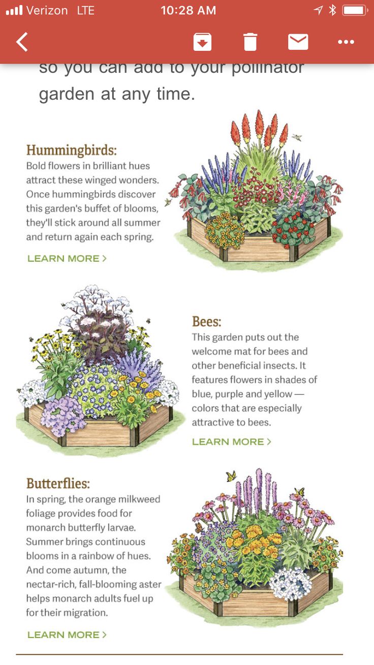 the garden guide is open to all kinds of flowers and plants that are growing in it