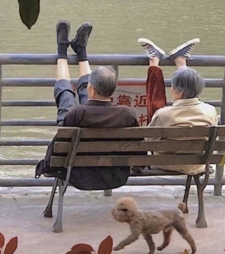 two people sitting on a bench with their feet up in the air as a dog walks by