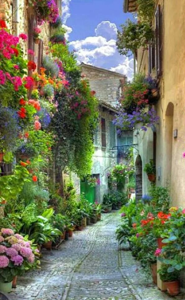 a cobblestone street with potted plants and flowers lining the sides of buildings