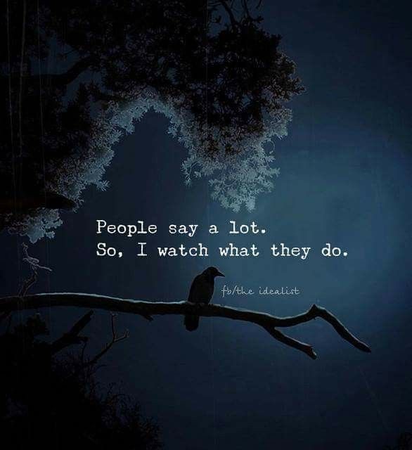 a bird sitting on top of a tree branch with a quote about people say a lot so, i watch what they do