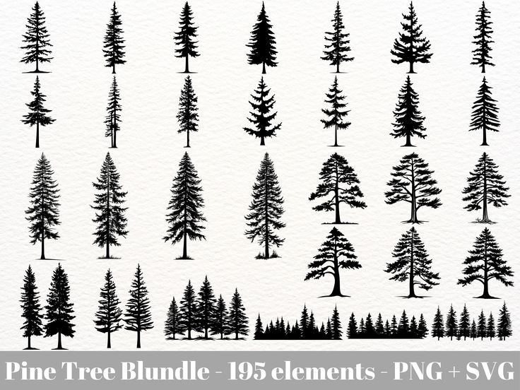 pine tree silhouettes in black and white with the text pine tree bundle 130 elements png