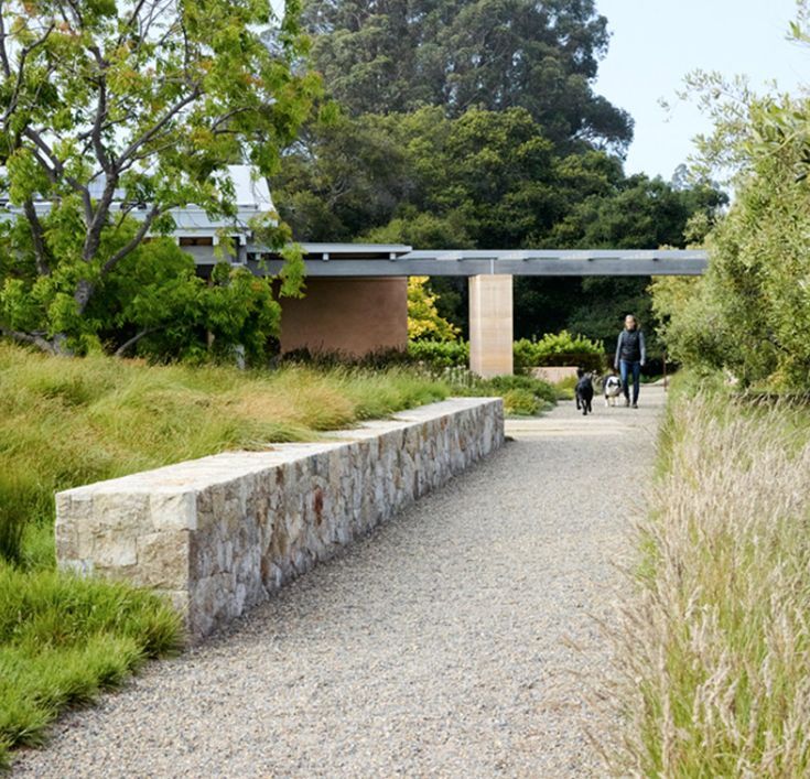 two people walking down a path in the middle of a park with grass and trees