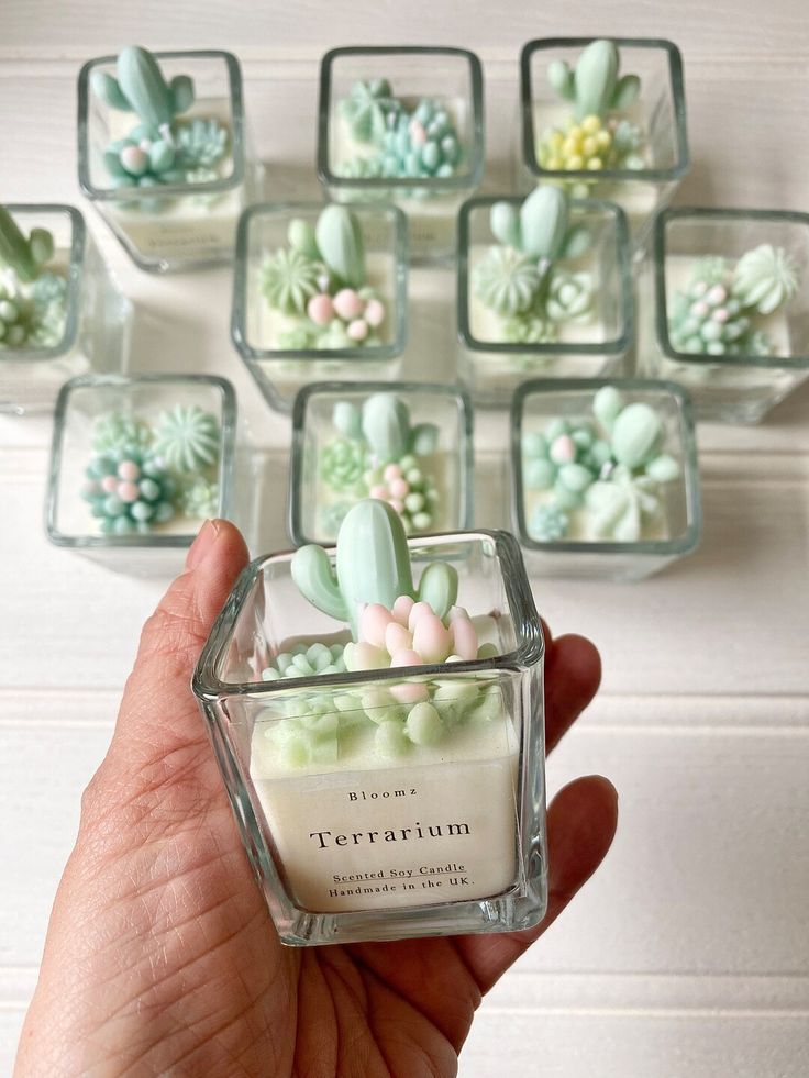 a hand holding a small glass container filled with tiny succulents