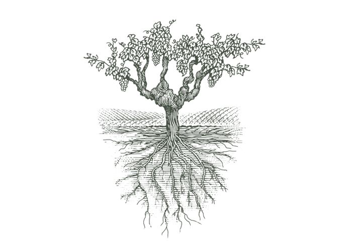 a drawing of a tree with roots and leaves growing out of it's trunk