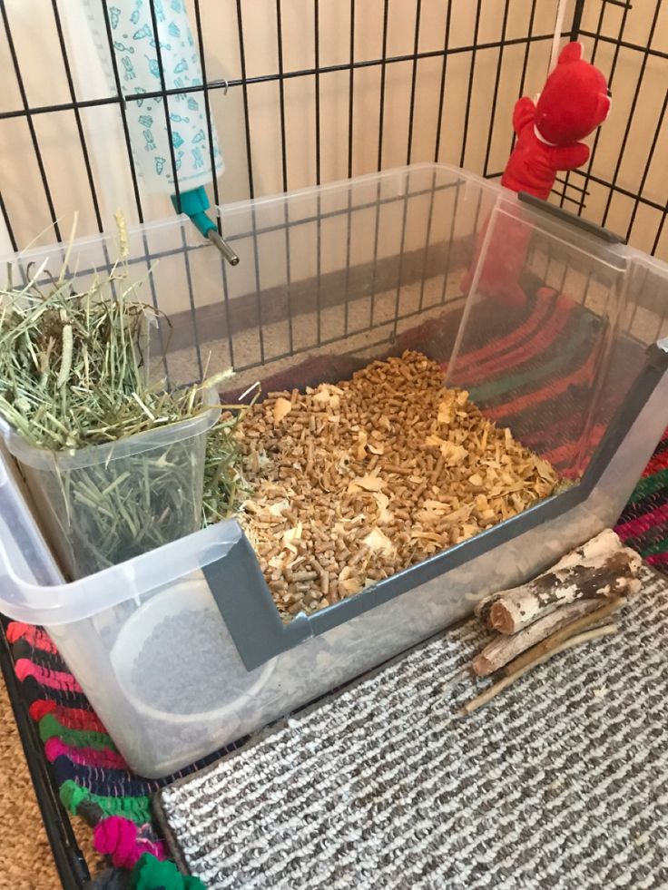 a cage filled with lots of different types of plants and food in it's bins