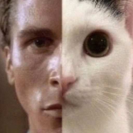 a white cat is looking at the camera and then it's half - face