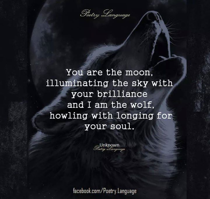 a wolf with its mouth open and the words you are the moon illuminating the sky with your brilliantance and i am the wolf howling with longing for your soul