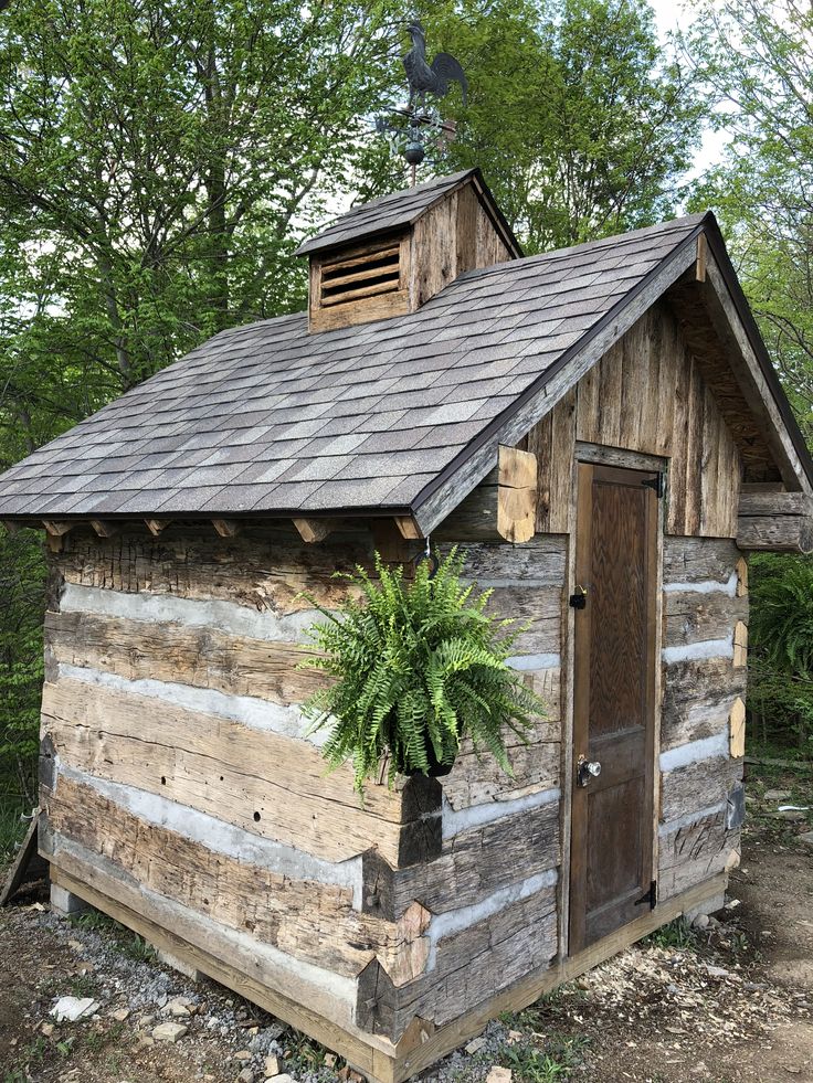 an old log cabin with a potted plant on the roof