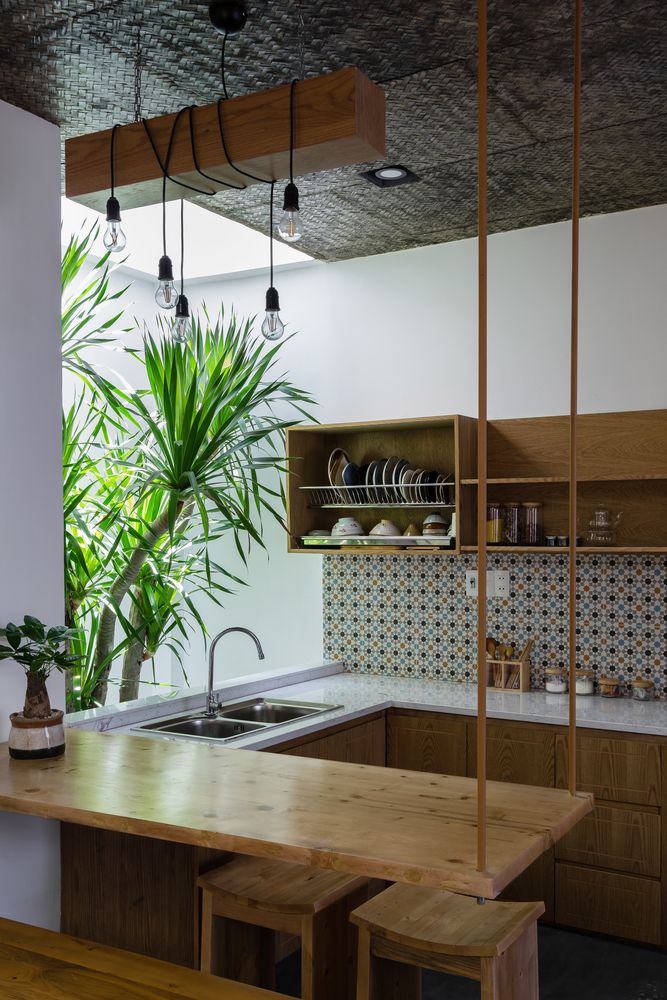 a kitchen with wooden cabinets and counter tops next to a potted palm tree in the corner