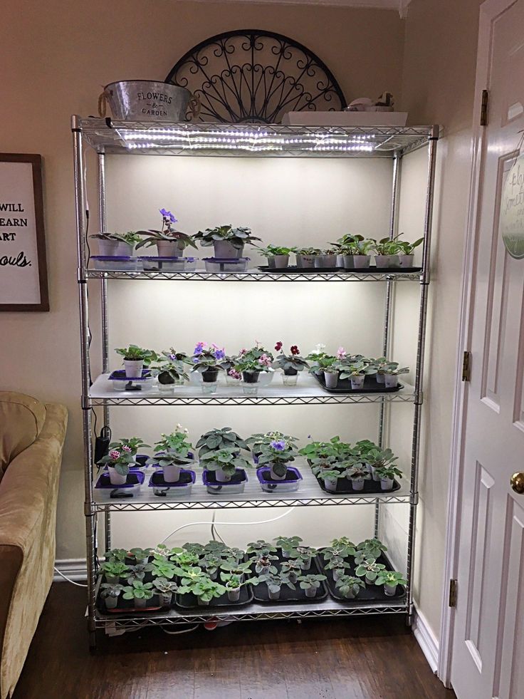 the shelves are filled with plants in pots