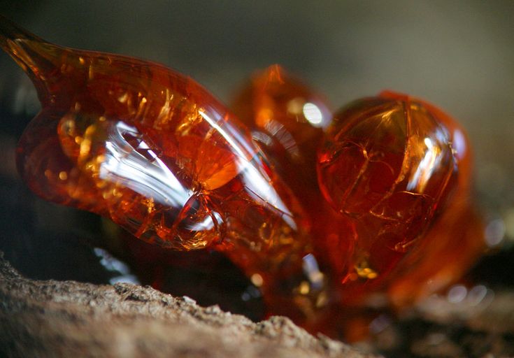 two orange glass beads sitting on top of a rock