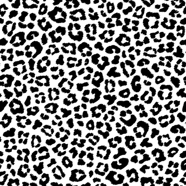 Leopard Skin Fabric - Black/White - ineedfabric.com Leopard Print Svg, Black And White Leopard, White Leopard Print, Leopard Skin, Black And White Fabric, White Leopard, Digital Print Fabric, Cricut Svg, Textile Prints