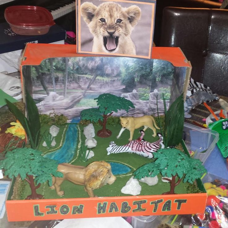 a lion habitat box with pictures and animals inside