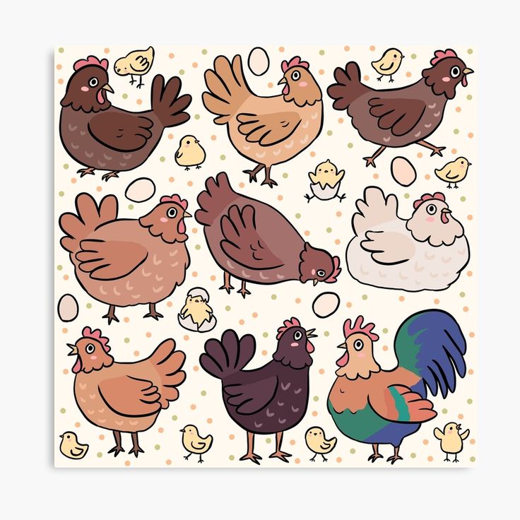 a bunch of chickens sticker