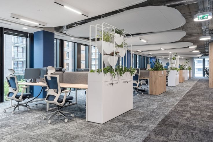 an office with blue and white walls, plants on the desks, and large windows