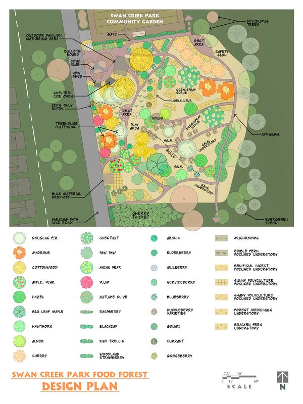 a garden plan with lots of trees and plants