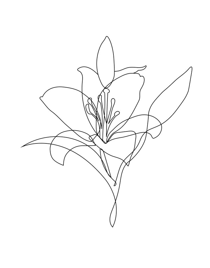 a line drawing of a flower on a white background