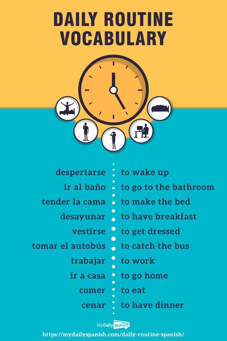 a poster with words describing daily routine in english and spanish, including an image of a clock