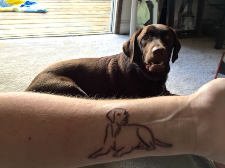 a dog is sitting on the arm of a person