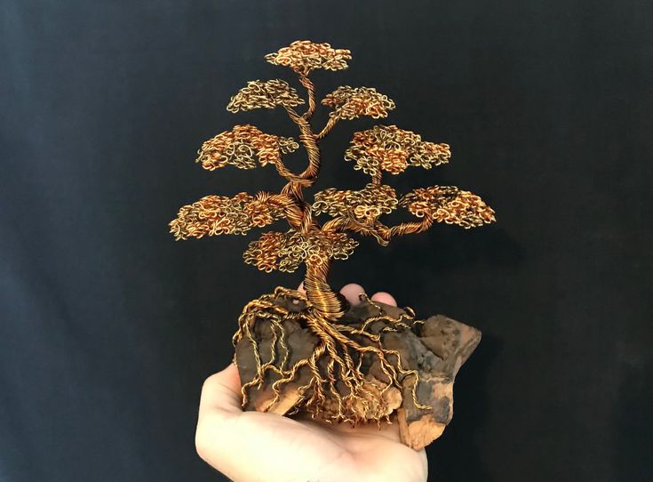 a hand holding a rock with a tree growing out of it