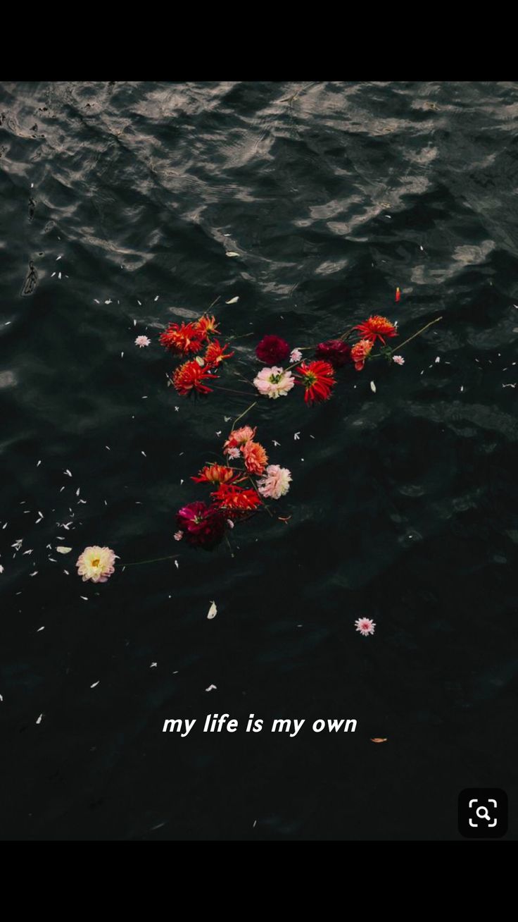 flowers floating in the water near each other