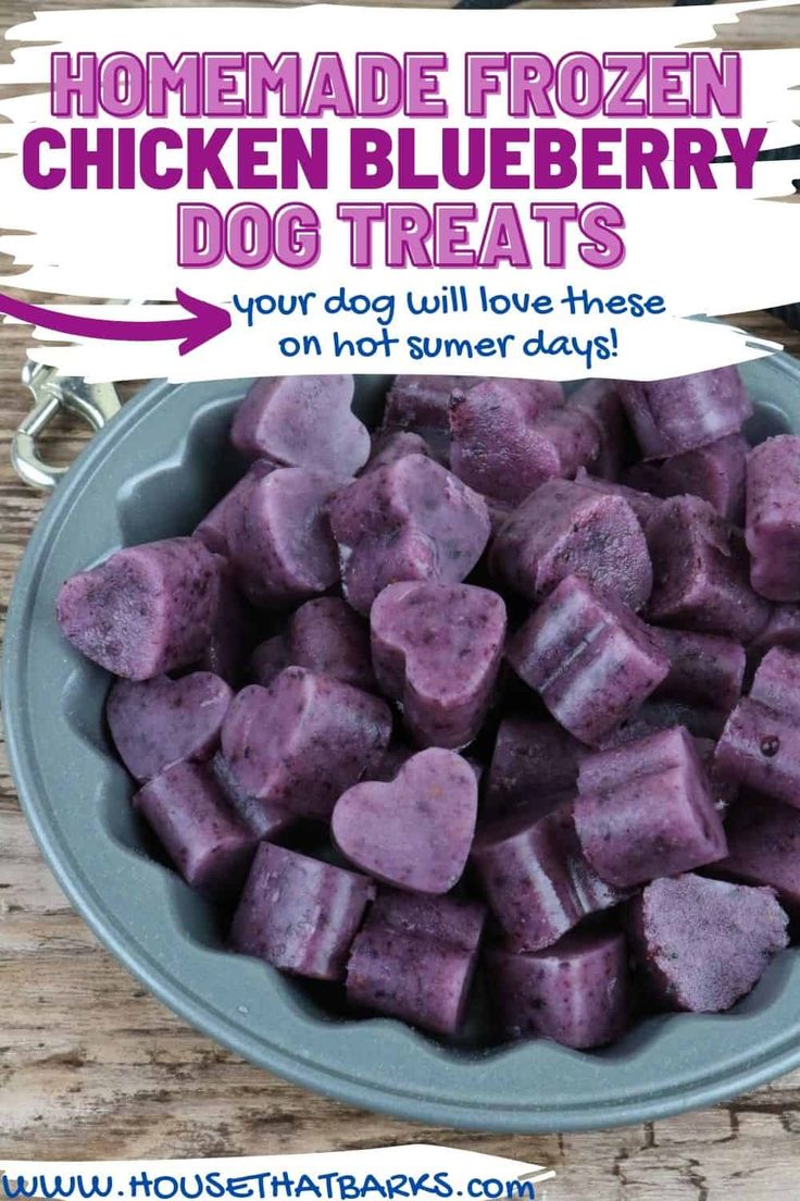 homemade frozen chicken blueberry dog treats in a bowl with text overlay that reads homemade frozen chicken blueberry dog treats your dog will love these on hot