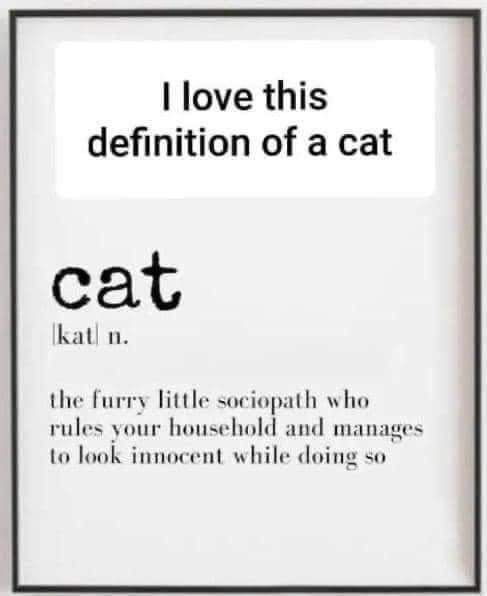 a sign that says i love this definition of a cat