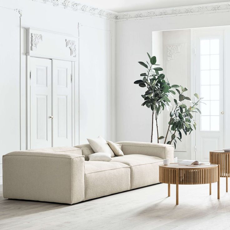 a living room with white walls and wooden floors, a large plant in the corner