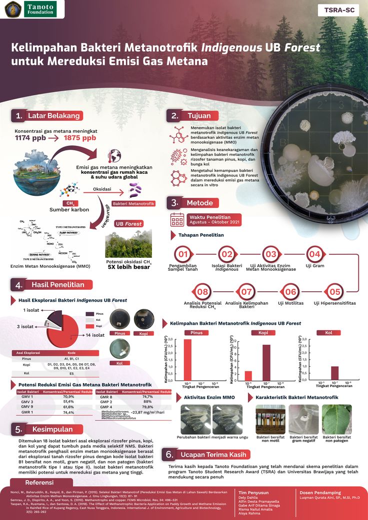 a poster with information about different types of trees