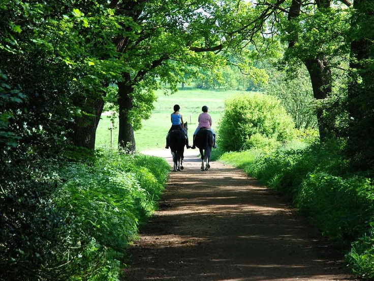 two people riding horses down a dirt road in the middle of green grass and trees