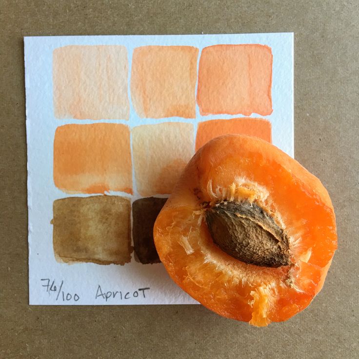 an orange is sitting on top of a piece of paper with some paint swatches