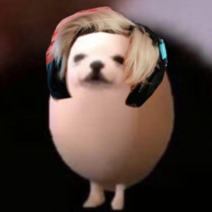 a dog with headphones on its ears is in the shape of an egg wearing a headset