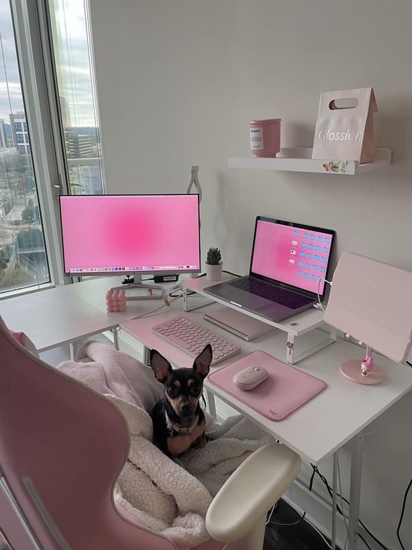 a small dog sitting in a chair at a desk with two computer monitors and a laptop