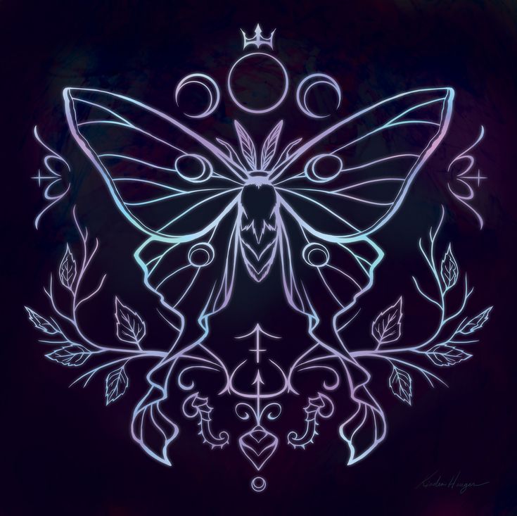 a drawing of a butterfly on a black background with stars and circles in the middle