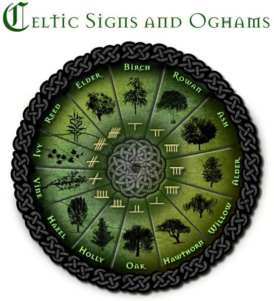 a green circle with trees in it and the names of different places on it, all surrounded by celtic symbols