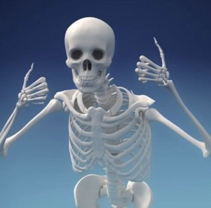 a skeleton with arms and legs spread out